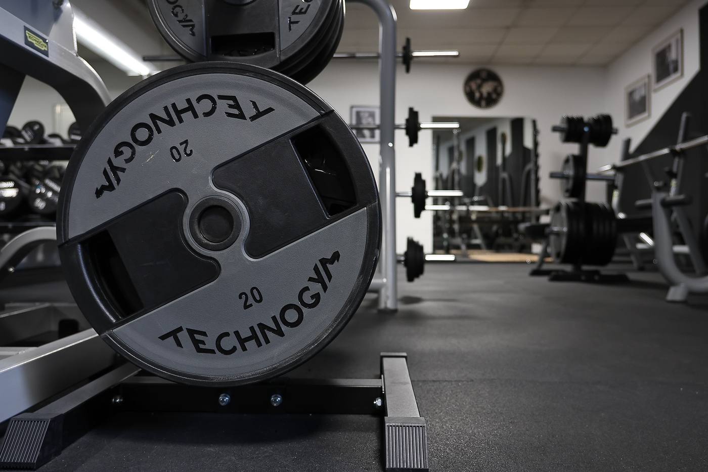 Technogym Hanteln und freie Gewichte